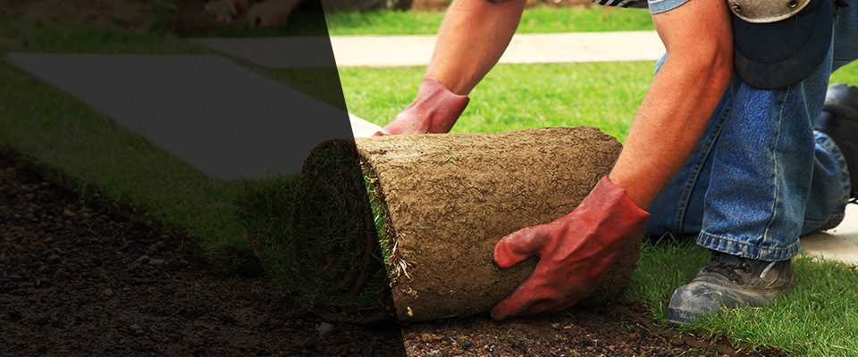Dunbar Landscapers